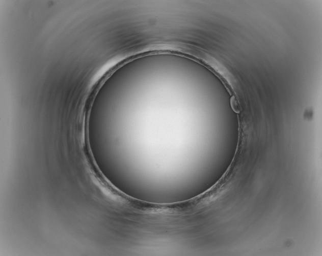 X0000090421127200707272105