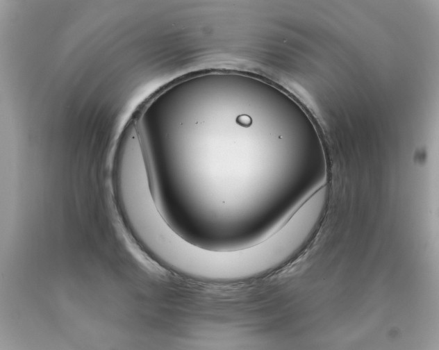 X0000090421128200707272105