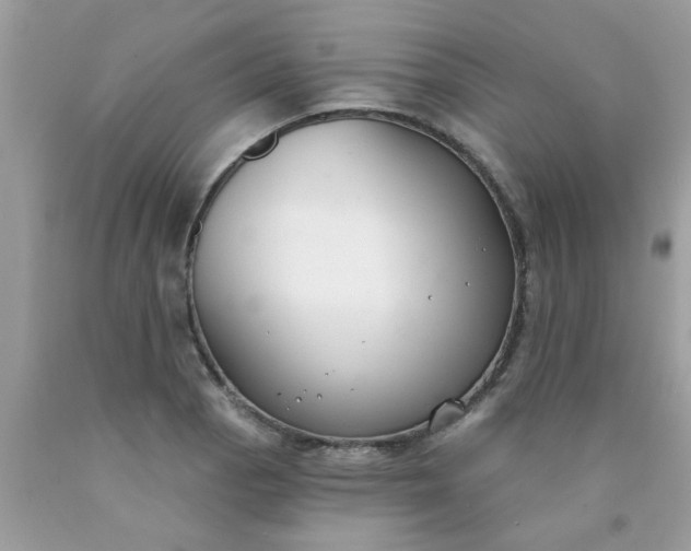 X0000090421129200707272105