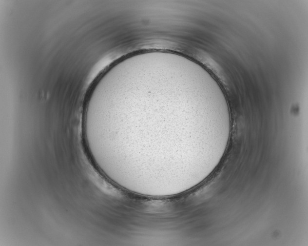 X0000090421130200707272105