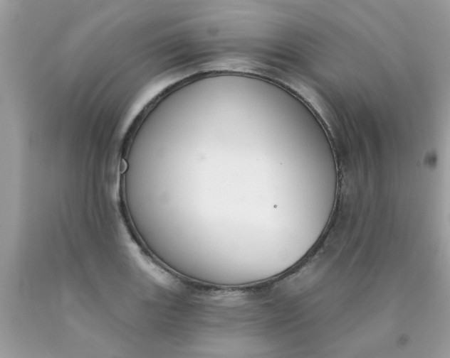 X0000090421131200707272105