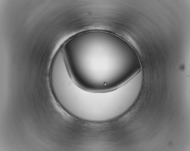 X0000090421132200707272105