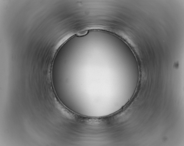 X0000090421137200707272105