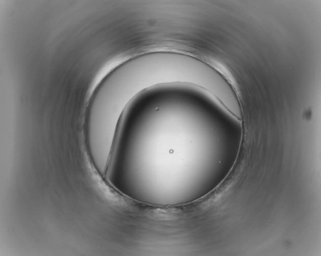 X0000090421138200707272105