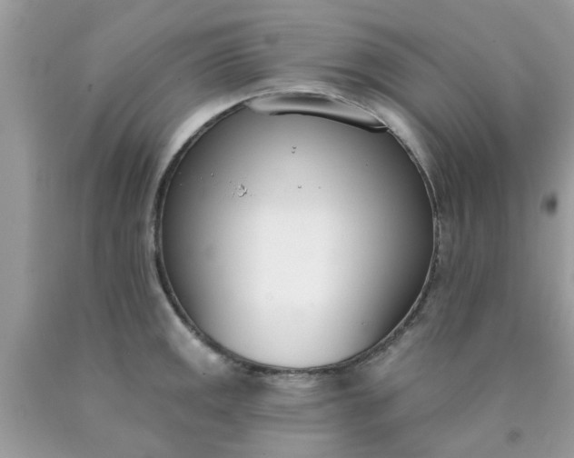 X0000090421141200707272105