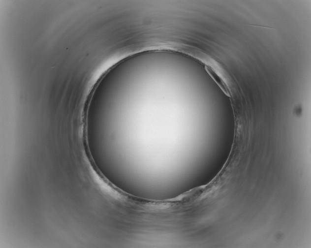 X0000090421143200707272105