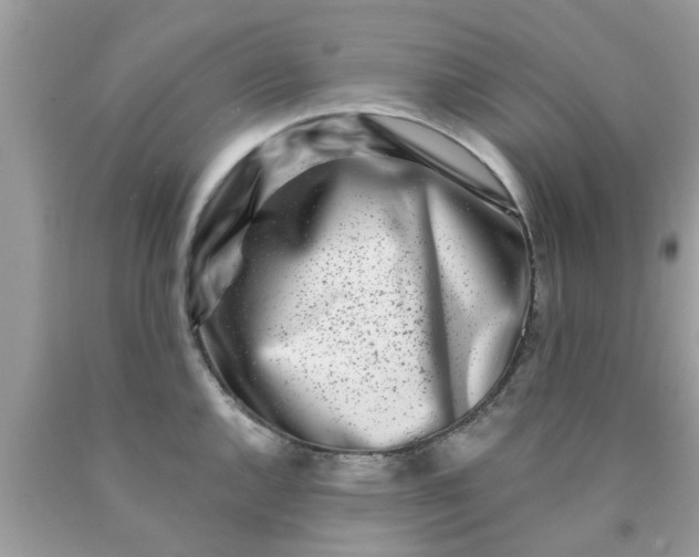 X0000090421144200707272105