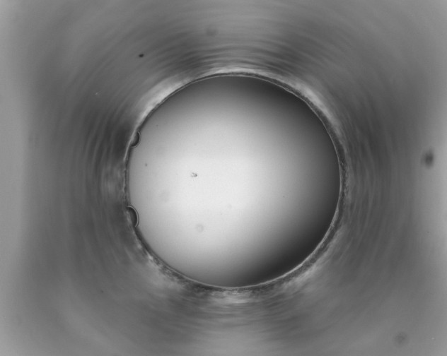 X0000090421145200707272105