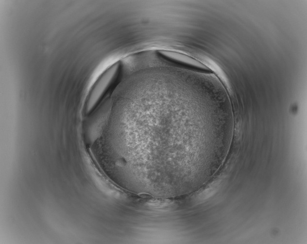 X0000090421146200707272105