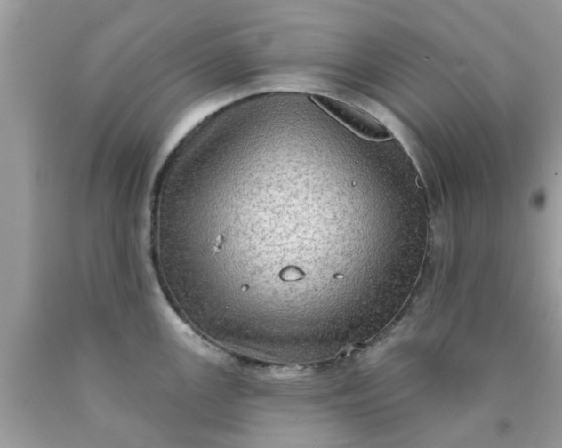 X0000090421147200707272105