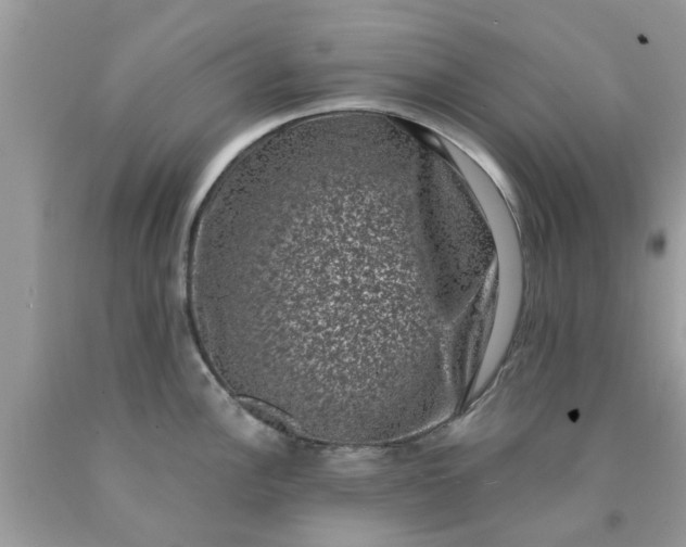 X0000090421148200707272105