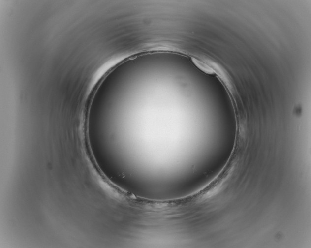 X0000090421149200707272105