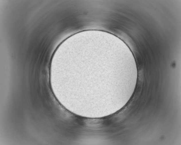 X0000090421150200707272105