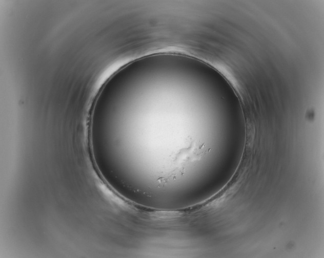 X0000090421151200707272105