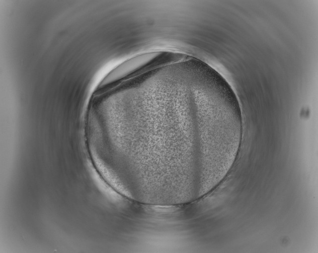 X0000090421152200707272105