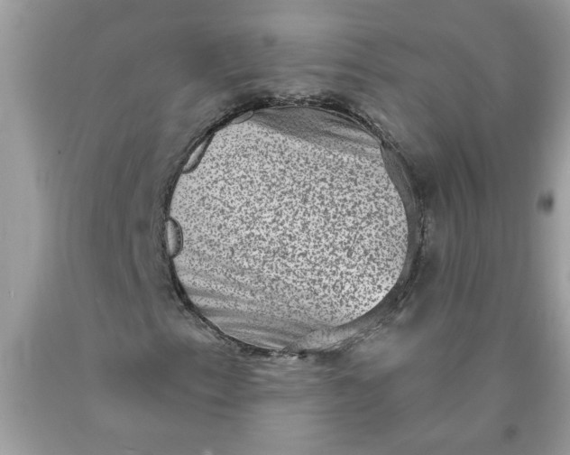 X0000090421153200707272104