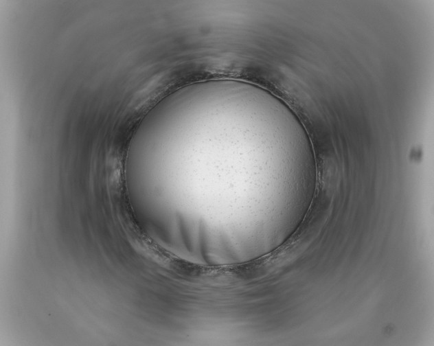 X0000090421154200707272104