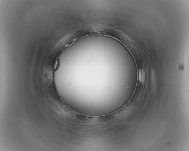 X0000090421155200707272104