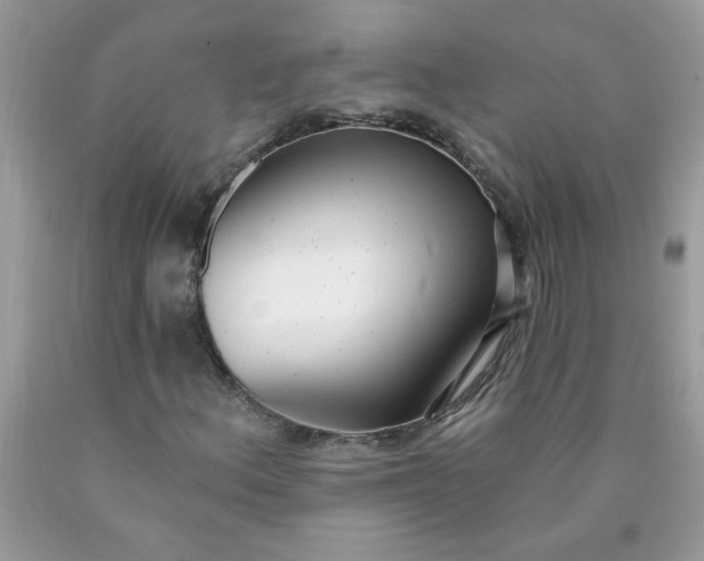 X0000090421156200707272104