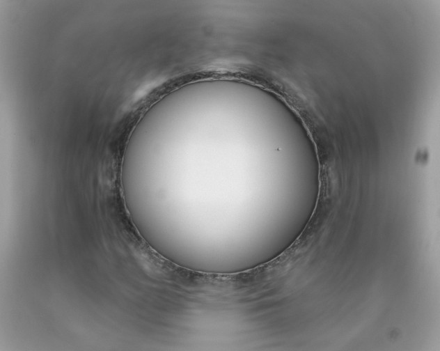 X0000090421158200707272104