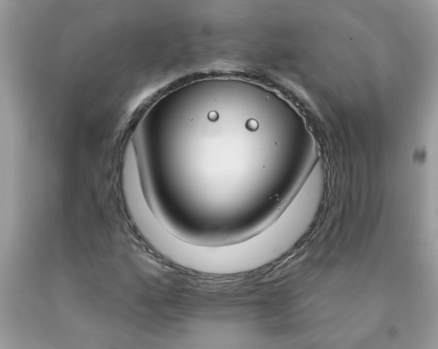 X0000090421160200707272104