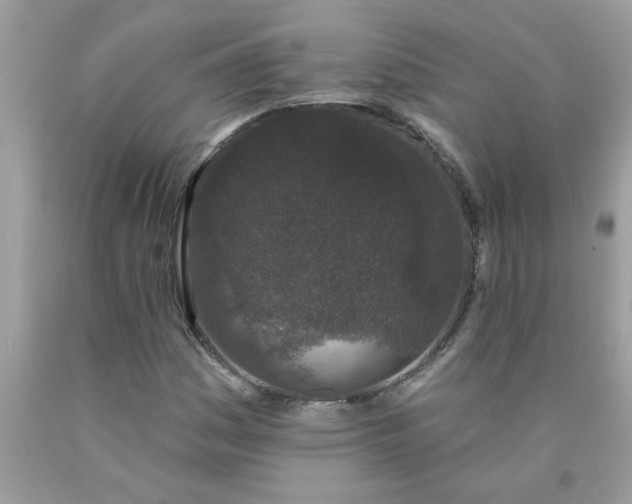 X0000090421161200707272104