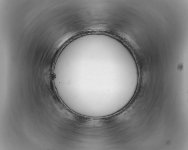 X0000090421162200707272104