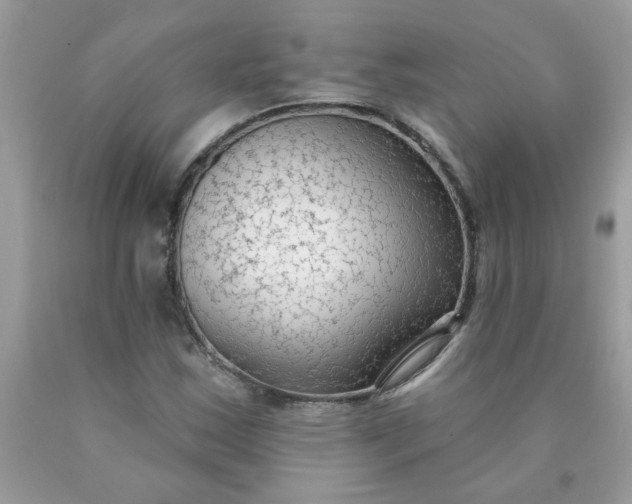 X0000090421163200707272104