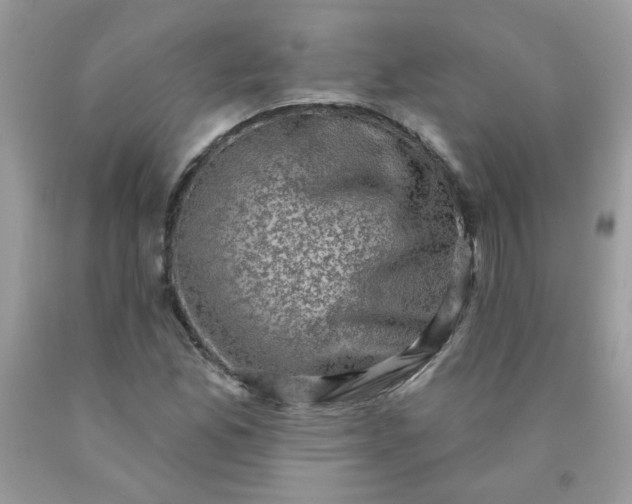 X0000090421165200707272104