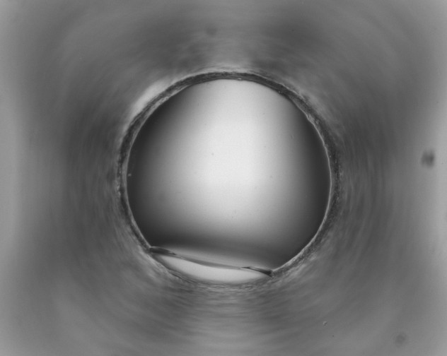 X0000090421168200707272104