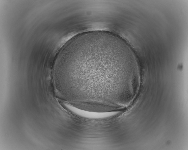 X0000090421169200707272104