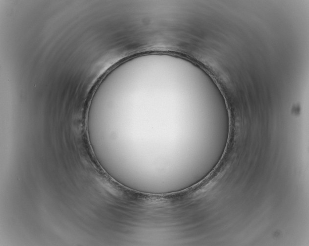 X0000090421170200707272104