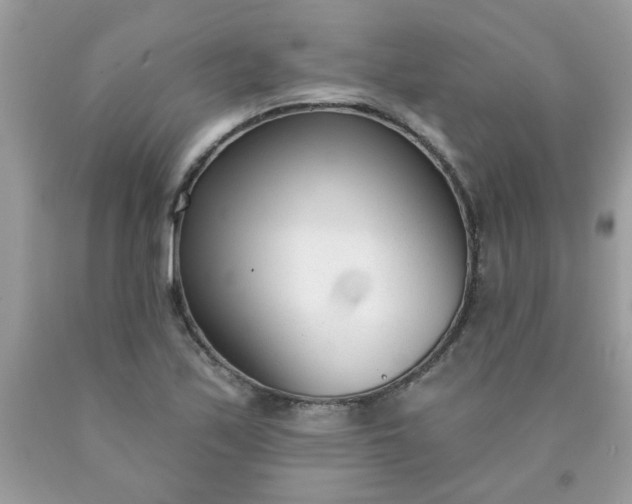 X0000090421171200707272104