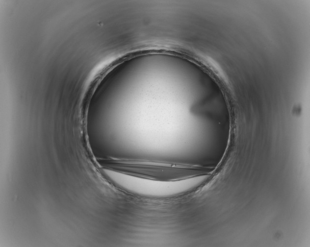 X0000090421172200707272104