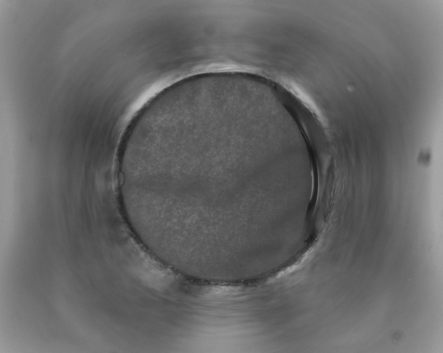 X0000090421173200707272104