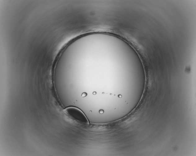 X0000090421174200707272104