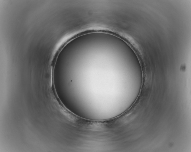 X0000090421175200707272104