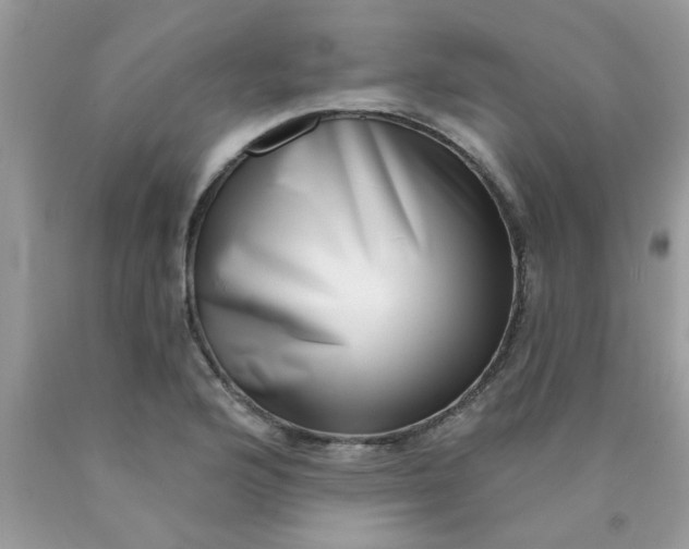 X0000090421176200707272104