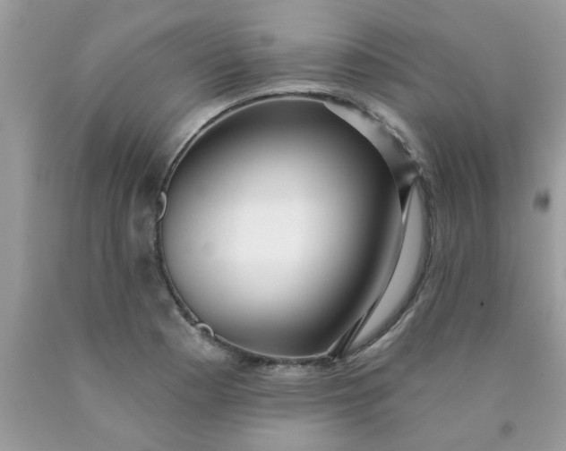 X0000090421177200707272104