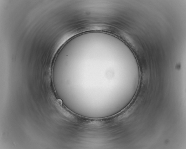 X0000090421178200707272104