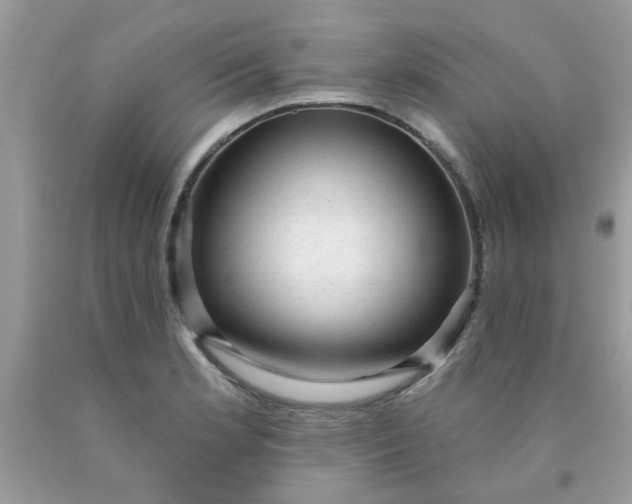 X0000090421181200707272104