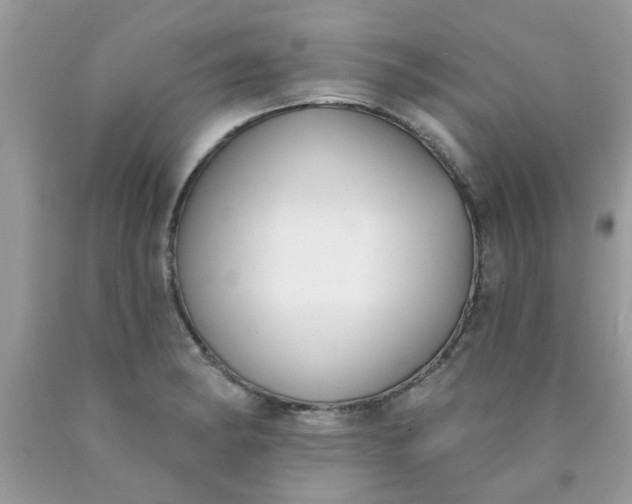 X0000090421182200707272104