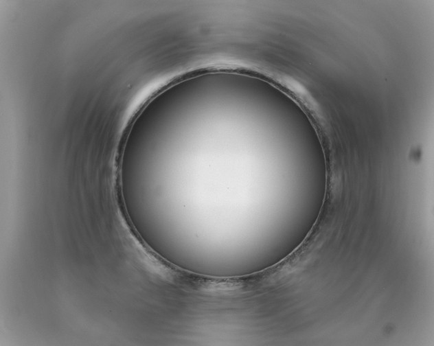 X0000090421183200707272104