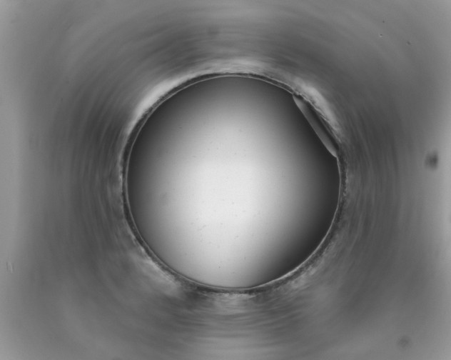 X0000090421184200707272104