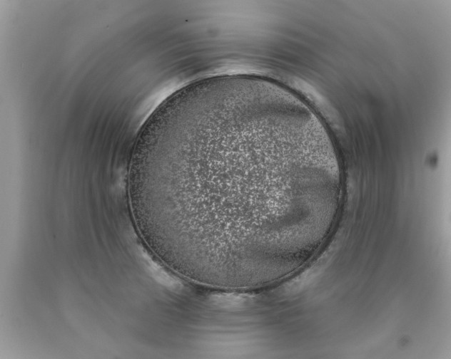 X0000090421185200707272104