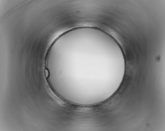 X0000090421187200707272104