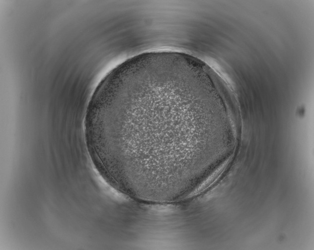 X0000090421189200707272104