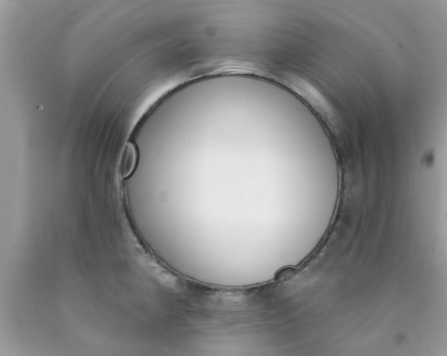 X0000090421190200707272104