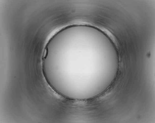 X0000090421191200707272104