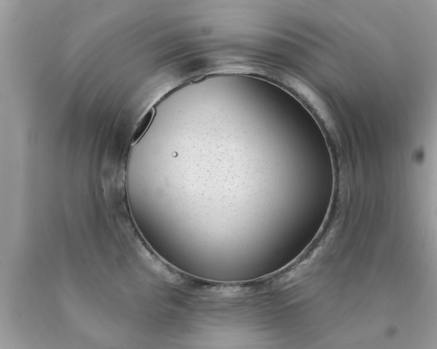 X0000090421193200707272104